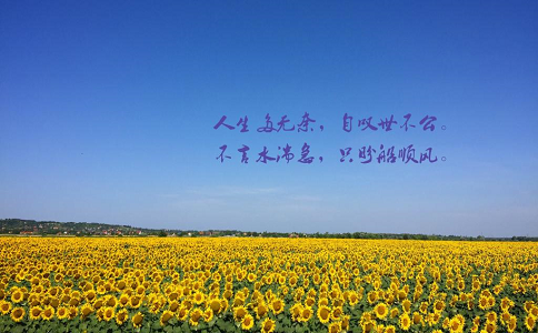 80后創(chuàng)業(yè)者的人生感悟！生活就是這樣…… 第2張