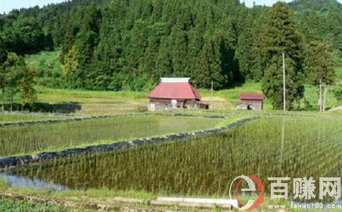 經營農場賺錢嗎?農場應該怎樣經營?做什么項目? 第2張