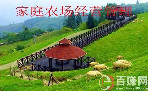 現在經營農場賺錢嗎?經營農場的出路在哪? 第2張 現在經營農場賺錢嗎?經營農場的出路在哪? 第2張