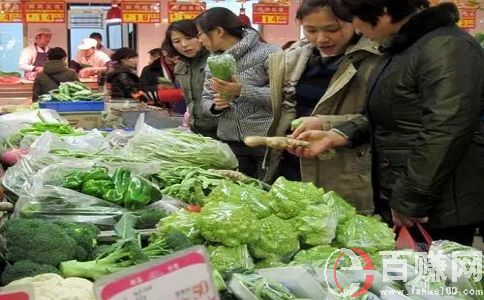 創業先鋒網:靠賣蔬菜年賺百萬,你相信嗎? 第2張
