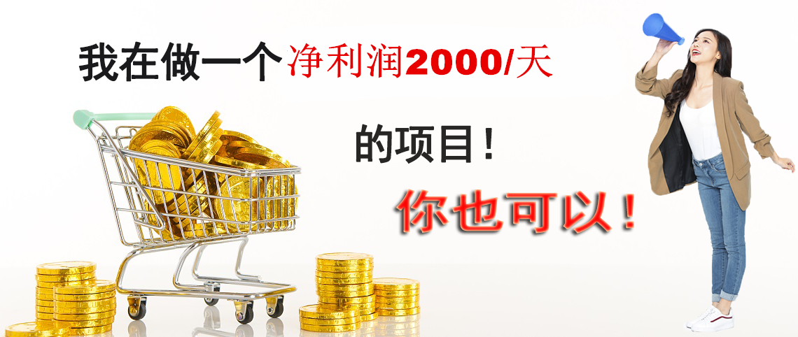 我在做一個(gè)凈利潤2000/天的項(xiàng)目!你也可以!